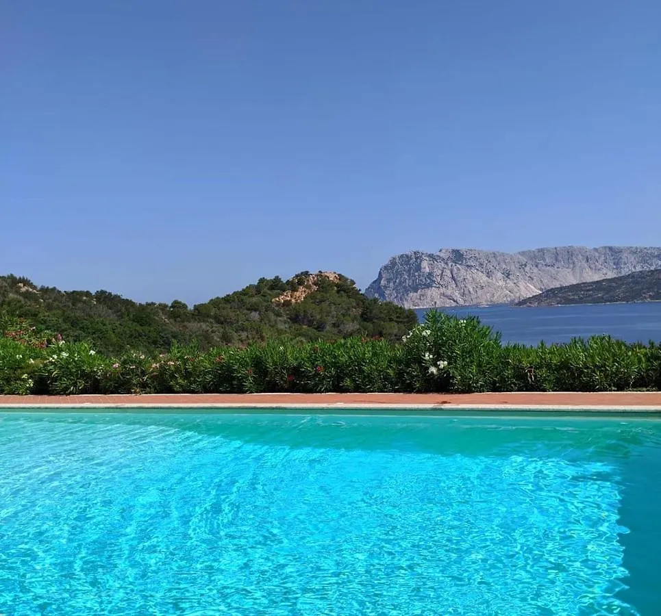 Appartamento San Teodoro Punta Est Curatissimo Bilocale Capo Coda Cavallo