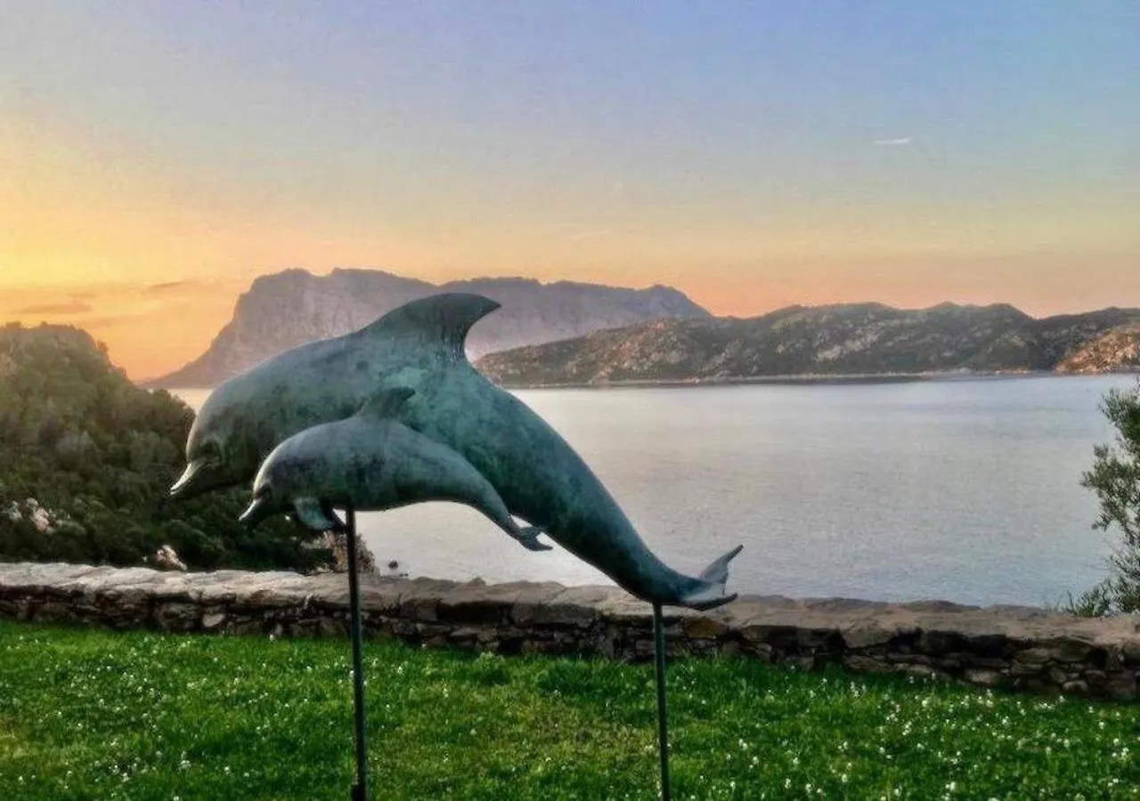 Appartamento San Teodoro Punta Est Curatissimo Bilocale Capo Coda Cavallo Italia