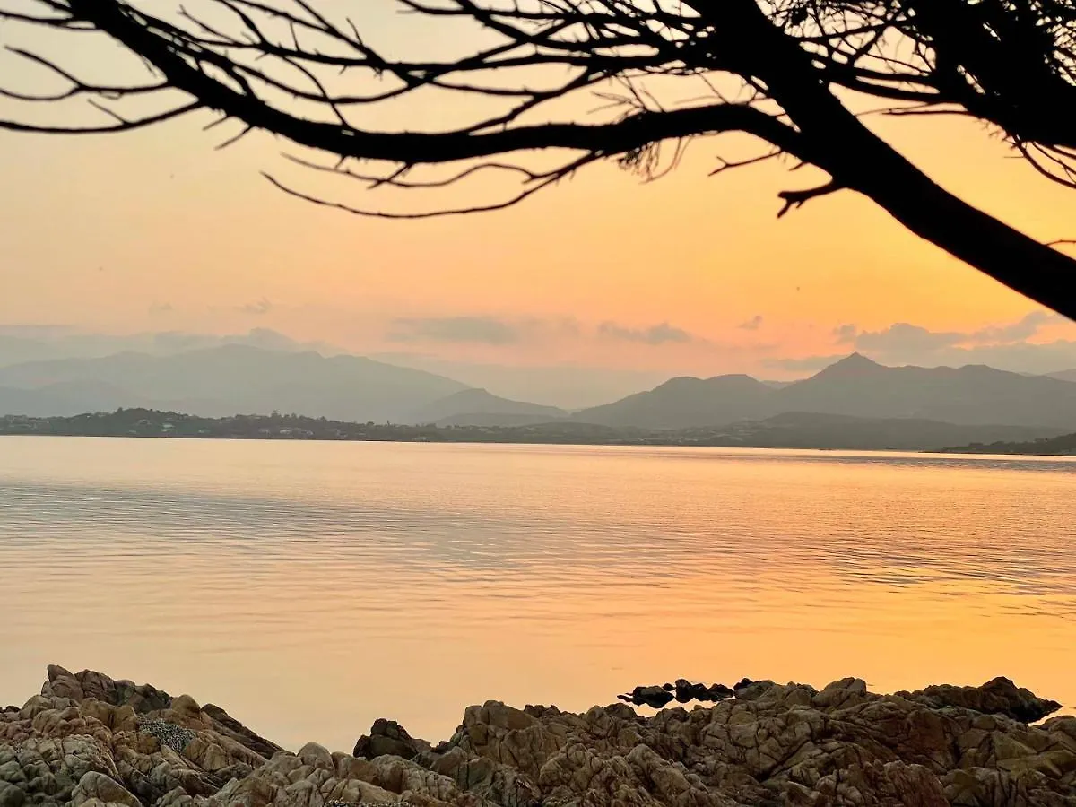 Appartamento San Teodoro Punta Est Curatissimo Bilocale Capo Coda Cavallo 0*,  Italia