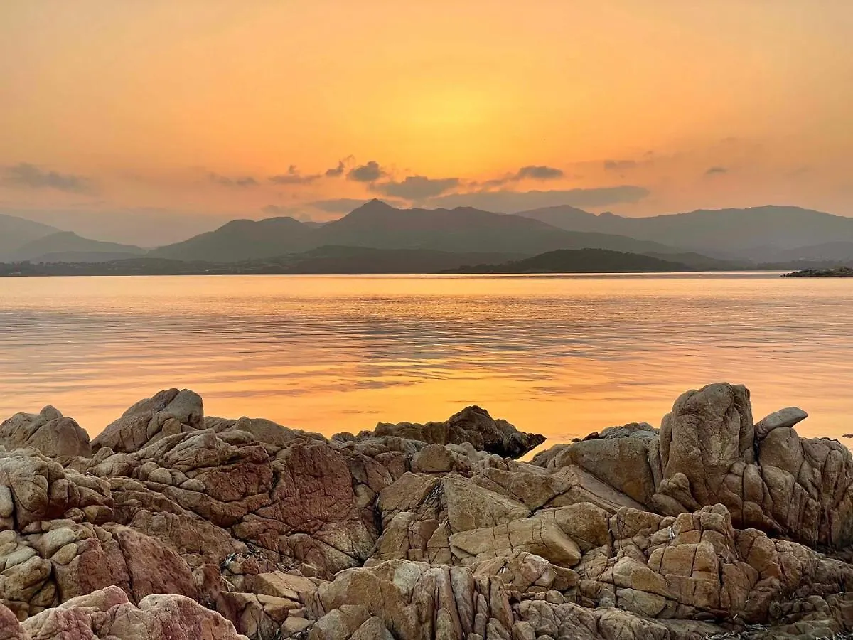 Appartamento San Teodoro Punta Est Curatissimo Bilocale Capo Coda Cavallo